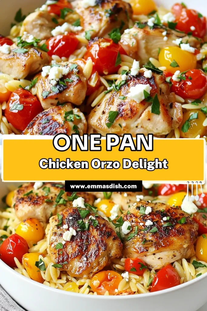 Discover the ultimate savory chicken orzo with this easy chicken pasta recipe! This one-pan orzo dish combines tender chicken thighs, orzo pasta, and fresh veggies for a delicious skillet chicken dinner that’s ready in just 30 minutes. Perfect for busy weeknights, this chicken orzo skillet dinner is sure to impress. Try it today and make your mealtime special! Save this recipe for later! #SkilletChicken #EasyPasta #OnePanMeals #ChickenOrzo